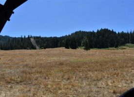 209 Acre parcels, buildable, timber, homesite, Fish stocked Pond.
