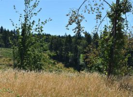 Buildable 18.22 acre parcel, Well, building site, Power on rd. along property line