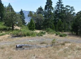 SOLD!! 160.58 acre parcel, Buildable, Recreational, Merchantable timber