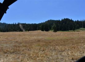SOLD!! Recreational, timber, ranch, hunting acreage