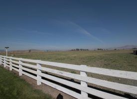 5479 Old Midland Rd – Nearly 20 acres of Irrigated cow/horse pasture