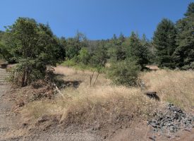10.5 Acres Raw Land next to public land with water Willis Creek Rd