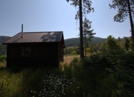 160 ac Tiller Trail Hwy Near Three Horn Campground