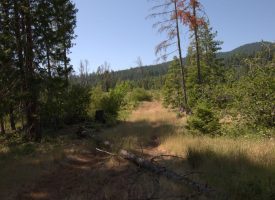 160 ac Tiller Trail Hwy Near Three Horn Campground