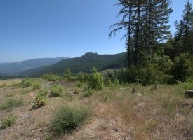 160 ac Tiller Trail Hwy Near Three Horn Campground