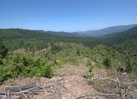 160 ac Tiller Trail Hwy Near Three Horn Campground