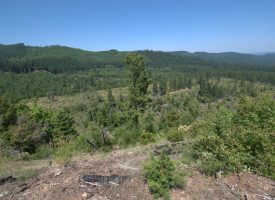 160 ac Tiller Trail Hwy Near Three Horn Campground