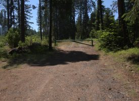 160 ac Tiller Trail Hwy Near Three Horn Campground