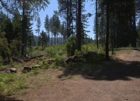 160 ac Tiller Trail Hwy Near Three Horn Campground