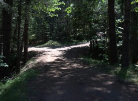 160 ac Tiller Trail Hwy Near Three Horn Campground