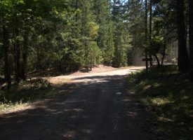 160 ac Tiller Trail Hwy Near Three Horn Campground