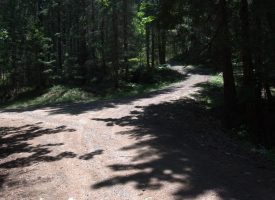 160 ac Tiller Trail Hwy Near Three Horn Campground