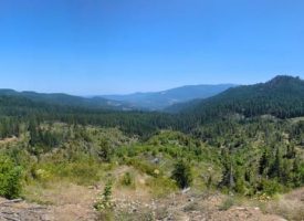 160 ac Tiller Trail Hwy Near Three Horn Campground