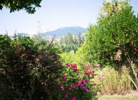 Landscaped Beauty with Views in Glide, OR