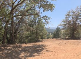 10.5 Acres Raw Land next to public land with water Willis Creek Rd
